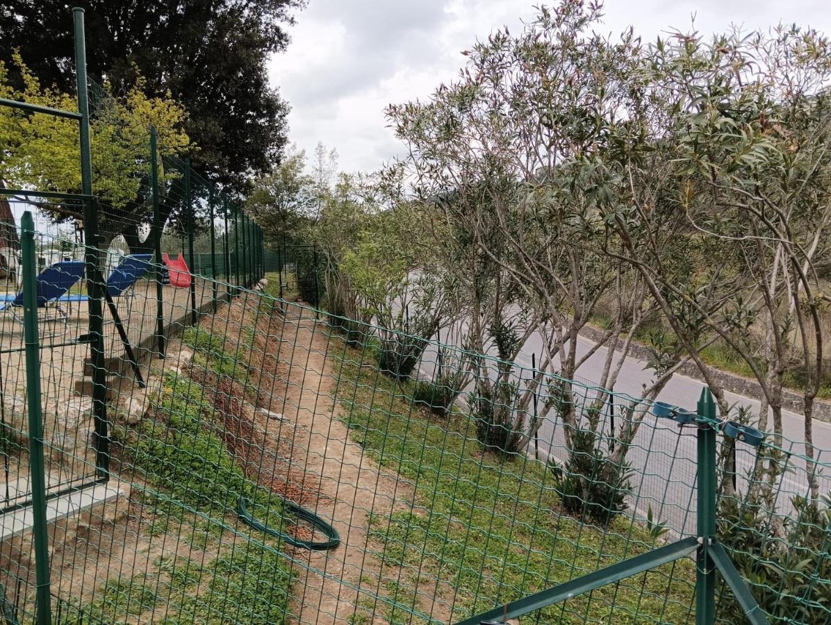 Villa La Casina Fra Gli Olivi Massarosa Esterno foto